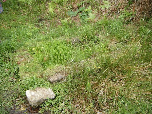 brick trough covered in moss