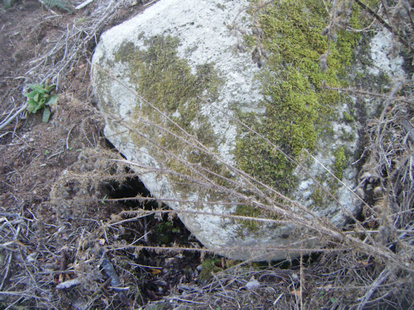A large mossy boulder with water issuing from beneath it